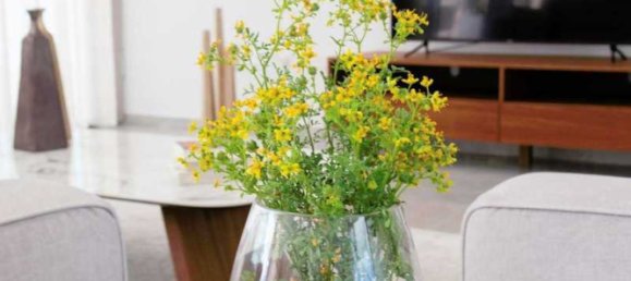 5 غرف نوم منزل في Pegeia, Cyprus رقم 7074 7