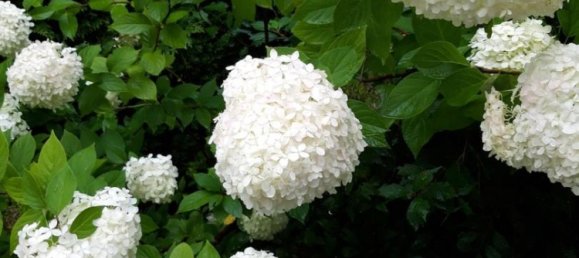 Villa de 5 habitaciónes en Wandsbek, Germany No. 257390 40