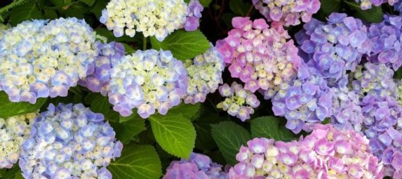 Villa de 5 habitaciónes en Wandsbek, Germany No. 257390 37