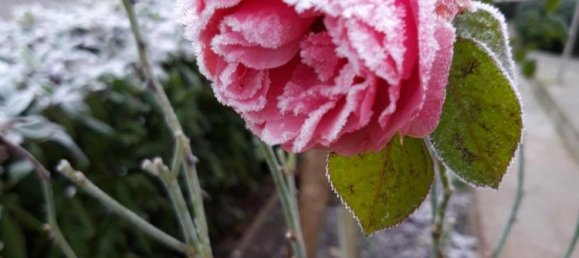 Villa de 5 habitaciónes en Wandsbek, Germany No. 257390 34