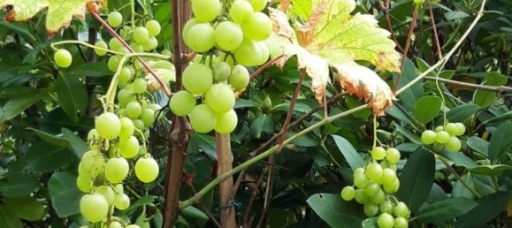 Villa de 5 habitaciónes en Wandsbek, Germany No. 257390 35