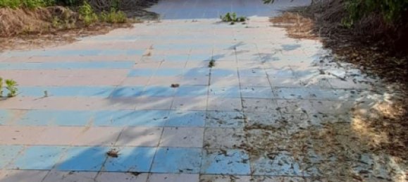 2-Zimmer Haus in Mortara, Italy, Nr. 2360 35