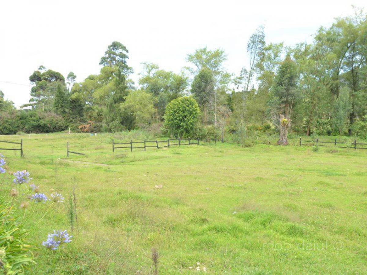 Terreno en Antioquia, Colombia No. 637