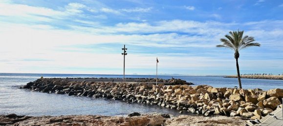 Apartamento T1 em Torrevieja, Spain N.º 99386 2