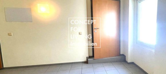 عقار تجاري في Wiener Neustadt, Austria 256متر مربع رقم 156882 12