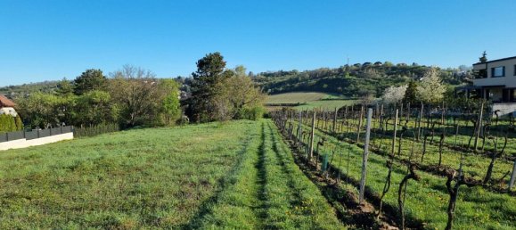 5-Zimmer Haus in Hagenbrunn, Austria, Nr. 127340 27