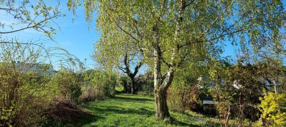 5-Zimmer Haus in Hagenbrunn, Austria, Nr. 127340 26