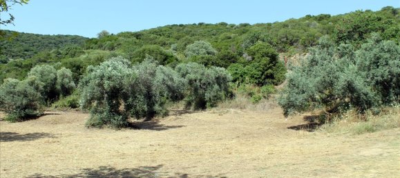 Hotel in Chalkidiki, Greece 8620m², Nr. 7735 7