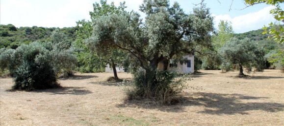 Hotel in Chalkidiki, Greece 8620m², Nr. 7735 9