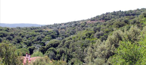 Hotel in Chalkidiki, Greece 8620m², Nr. 7735 4