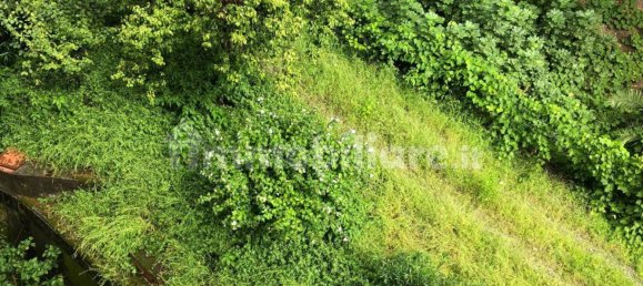 1 bedroom Apartment in Genoa, Italy No. 337215 16