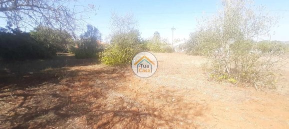 Grundstück in Sao Bras de Alportel, Portugal 2700m², Nr. 73401 9