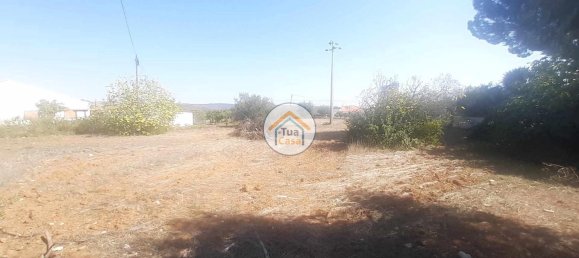 Grundstück in Sao Bras de Alportel, Portugal 2700m², Nr. 73401 3