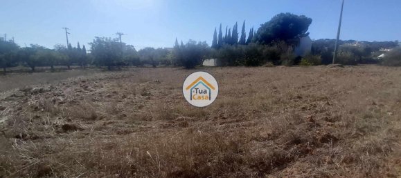 Grundstück in Sao Bras de Alportel, Portugal 2700m², Nr. 73401 14