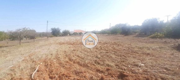 Grundstück in Sao Bras de Alportel, Portugal 2700m², Nr. 73401 4