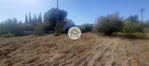 Grundstück in Sao Bras de Alportel, Portugal 2700m², Nr. 73401 12