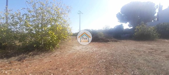 Grundstück in Sao Bras de Alportel, Portugal 2700m², Nr. 73401 2