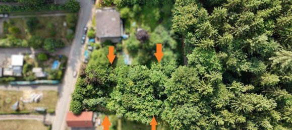 Terrain à Sudwestpfalz, Germany No. 228504 2