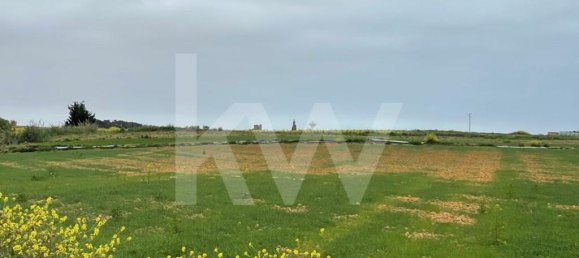 Terrain à Atouguia da Baleia, Portugal 52120m² No. 87480 12