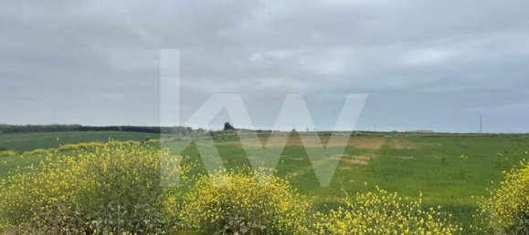 Terrain à Atouguia da Baleia, Portugal 52120m² No. 87480 8