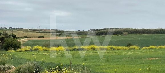 Terrain à Atouguia da Baleia, Portugal 52120m² No. 87480 11