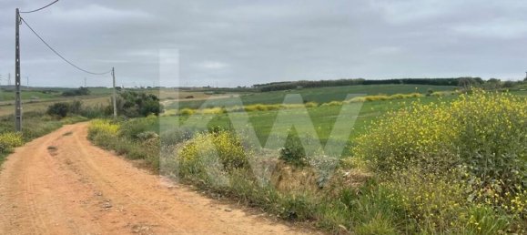 Terrain à Atouguia da Baleia, Portugal 52120m² No. 87480 10