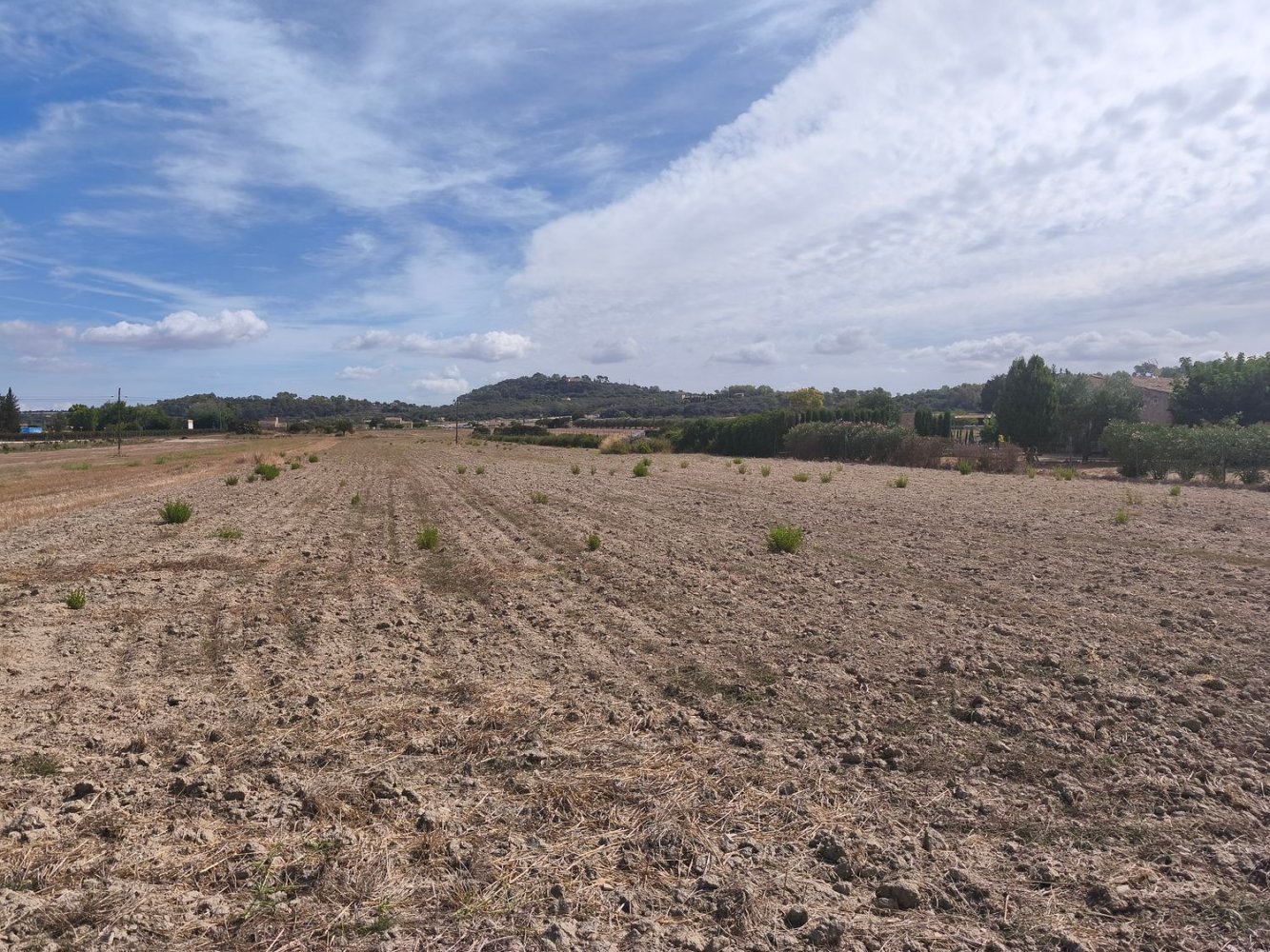  قطعة أرض في Mallorca, Spain رقم 200238