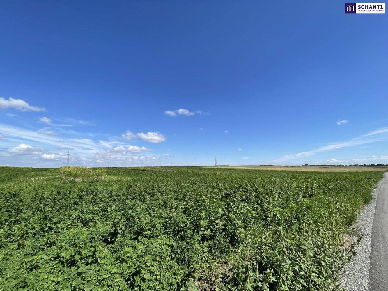 41195m² Land in Moosbrunn, Austria No. 247509