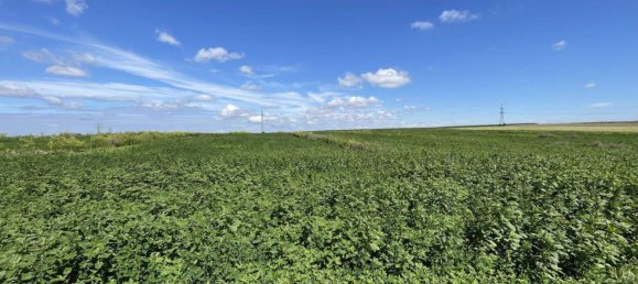 41195m² Land in Moosbrunn, Austria No. 247509 2