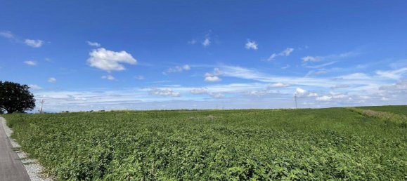 41195m² Land in Moosbrunn, Austria No. 247509 4