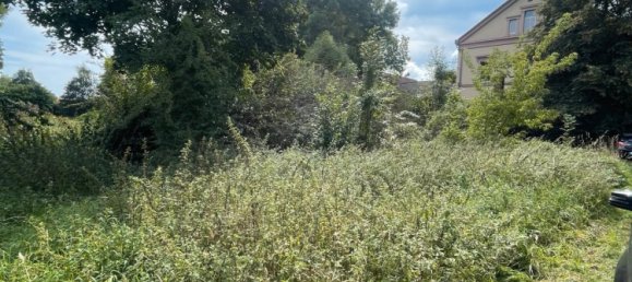 Land in Zwickau, Germany No. 354789 3