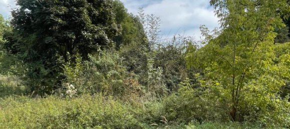 Land in Zwickau, Germany No. 354789 15