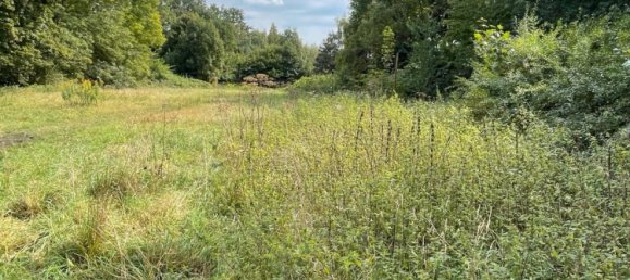 Land in Zwickau, Germany No. 354789 10