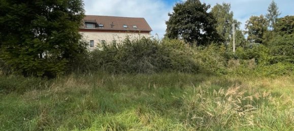 Land in Zwickau, Germany No. 354789 13