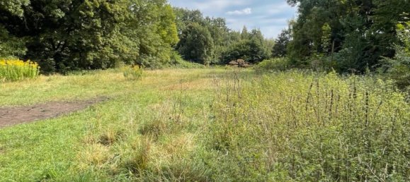 Land in Zwickau, Germany No. 354789 9