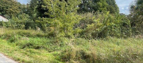 Land in Zwickau, Germany No. 354789 14