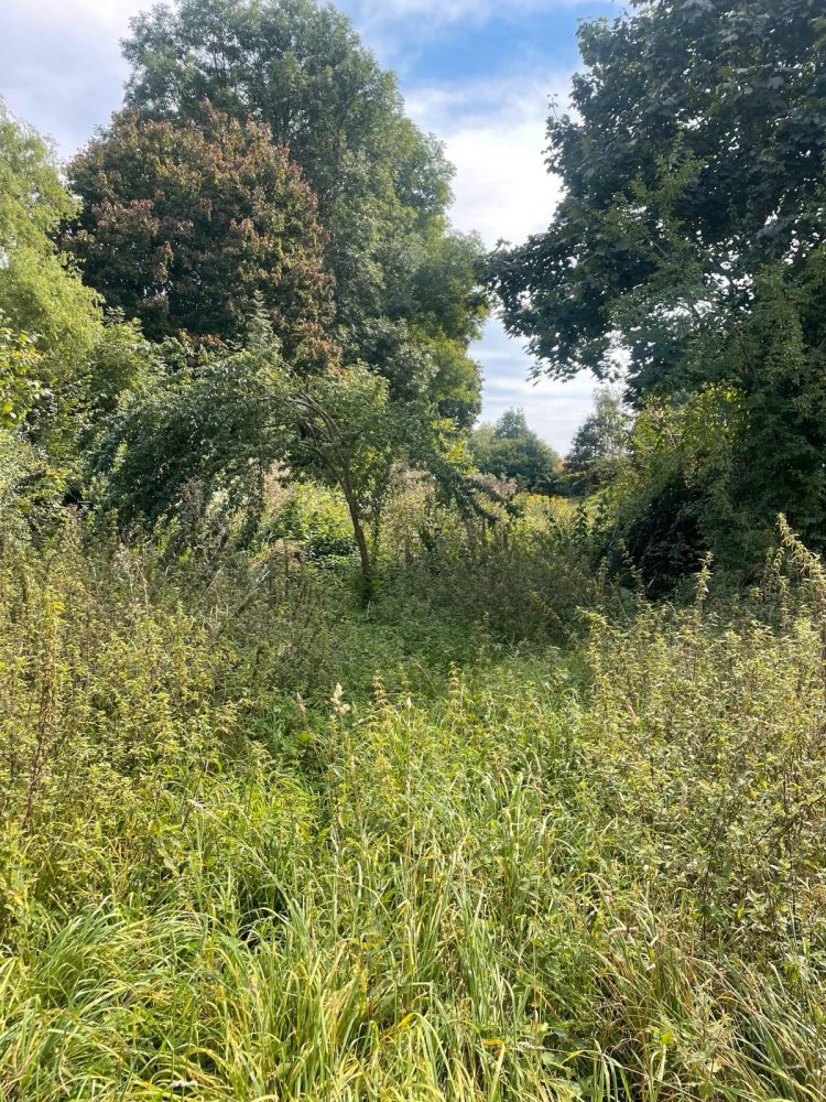  Land in Zwickau, Germany No. 354789