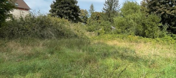 Land in Zwickau, Germany No. 354789 11