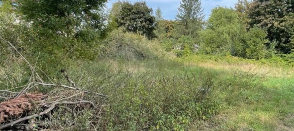 Land in Zwickau, Germany No. 354789 6