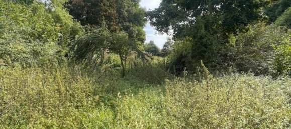 Land in Zwickau, Germany No. 354789 2