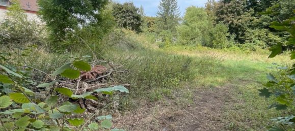 Land in Zwickau, Germany No. 354789 4