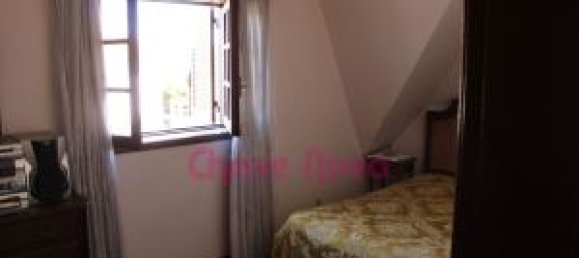 5 Schlafzimmer Haus in Lourosa, Portugal, Nr. 56997 17