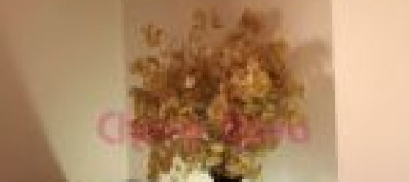 5 Schlafzimmer Haus in Lourosa, Portugal, Nr. 56997 4