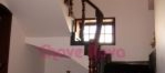 5 Schlafzimmer Haus in Lourosa, Portugal, Nr. 56997 11