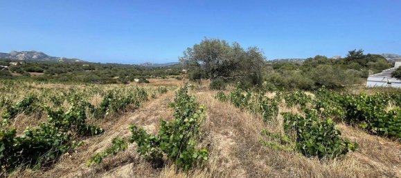 55000m² Land in Olbia, Italy No. 121707 9