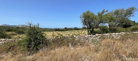 55000m² Land in Olbia, Italy No. 121707 2