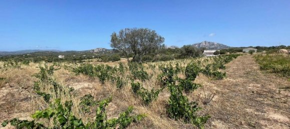 55000m² Land in Olbia, Italy No. 121707 11