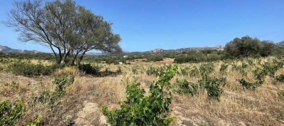 55000m² Land in Olbia, Italy No. 121707 8