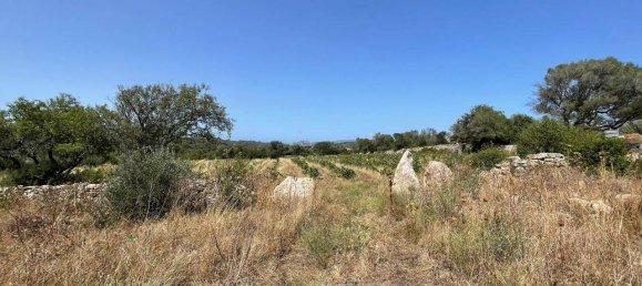 55000m² Land in Olbia, Italy No. 121707 16