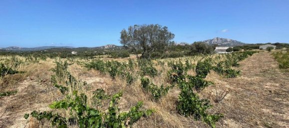 55000m² Land in Olbia, Italy No. 121707 12